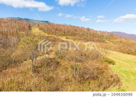 新潟湯沢町 紅葉の田代高原 新潟湯沢町 紅葉の田代高原 104638096
