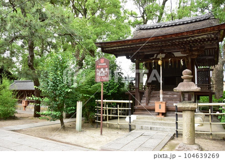 伏見区　藤森神社境内の八幡宮と新緑 104639269