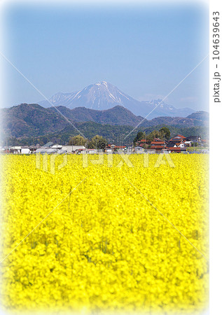 広大な平野に広がる満開の菜の花畑(イラスト風) 広大な平野に広がる満開の菜の花畑(イラスト風) 104639643