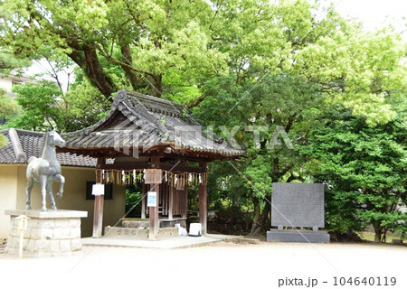 伏見区　藤森神社境内の神馬像と手水舎 104640119
