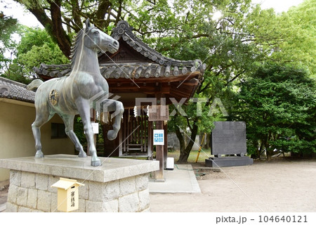 伏見区　藤森神社境内の神馬像と手水舎 104640121