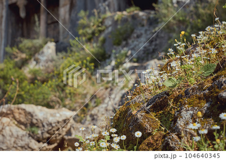 Fethiye, Turkey - March 206 2023 104640345