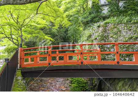 京都大原　三千院　律川に架かる未明橋（茅穂橋） 104640642