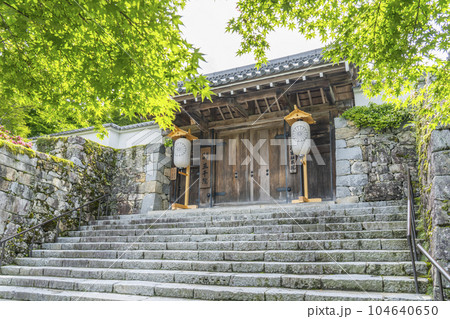 京都大原　三千院御殿門 104640650