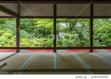 京都大原三千院　客殿から眺める新緑の聚碧園　額縁庭園 104640660