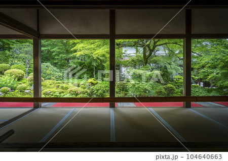 京都大原三千院　客殿から眺める新緑の聚碧園　額縁庭園 104640663