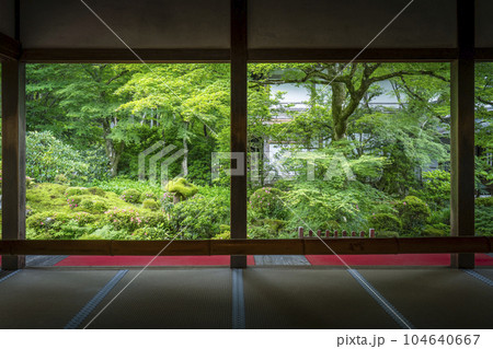 京都大原三千院　客殿から眺める新緑の聚碧園　額縁庭園 104640667