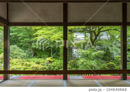 京都大原三千院　客殿から眺める新緑の聚碧園　額縁庭園 104640668