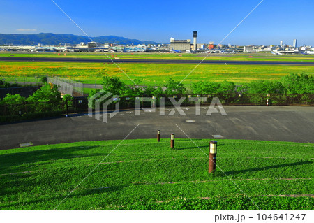 【大阪府】伊丹スカイパーク大空の丘から見た伊丹空港 104641247