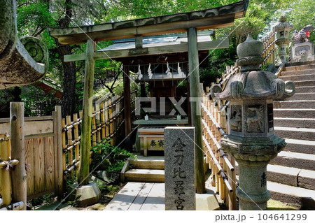 東京都新宿区　市谷亀岡八幡宮境内　金刀比羅宮 104641299
