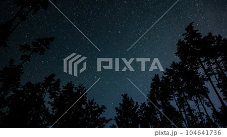 Stars in night sky 104641736