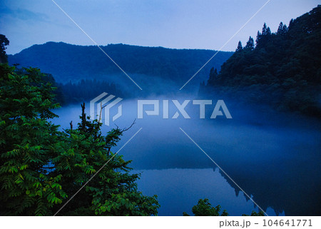 霧に包まれる森 104641771