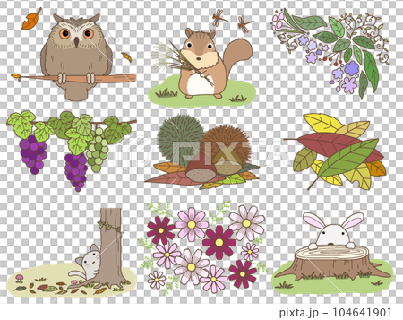 秋の素材　B 104641901