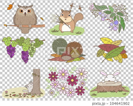 Autumn material C drawing paper Autumn material C drawing paper 104641902