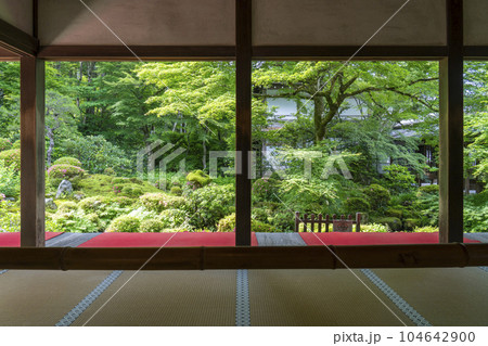 京都大原三千院　客殿から眺める新緑の聚碧園　額縁庭園 104642900