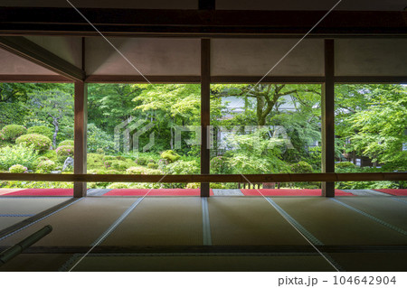 京都大原三千院　客殿から眺める新緑の聚碧園　額縁庭園 104642904