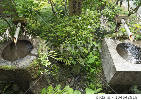 京都大原　三千院　清浄水 104642918