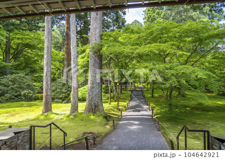 京都大原 三千院 美しい苔庭と往生極楽院 京都大原 三千院 美しい苔庭と往生極楽院 104642921