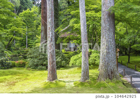京都大原 三千院 美しい苔庭と往生極楽院 京都大原 三千院 美しい苔庭と往生極楽院 104642925
