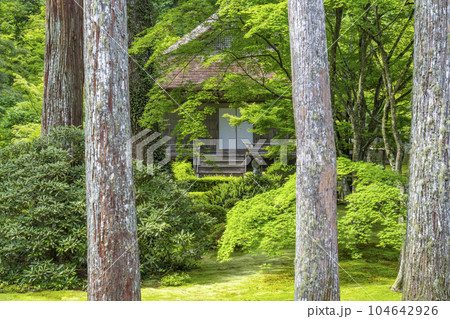 京都大原　三千院　美しい苔庭と往生極楽院 104642926