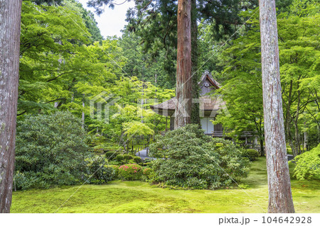 京都大原　三千院　美しい苔庭と往生極楽院 104642928