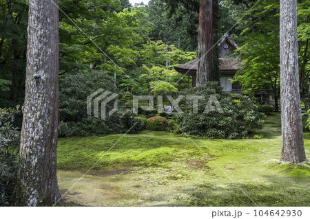 京都大原　三千院　美しい苔庭と往生極楽院 104642930