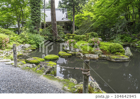 京都大原三千院　有清園　弁天池 104642945