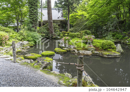 京都大原三千院　有清園　弁天池 104642947