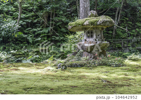 京都大原　三千院　趣のある灯籠とわらべ地蔵 104642952
