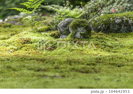 京都大原 三千院 苔が美しい有清園とわらべ地蔵 京都大原 三千院 苔が美しい有清園とわらべ地蔵 104642953