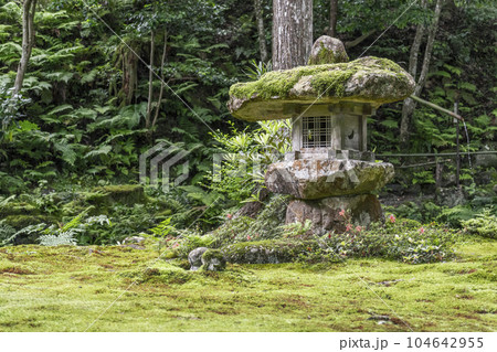 京都大原 三千院 趣のある灯籠とわらべ地蔵 京都大原 三千院 趣のある灯籠とわらべ地蔵 104642955