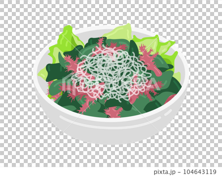 皿に盛り付けられた、海藻サラダのイラスト 104643119