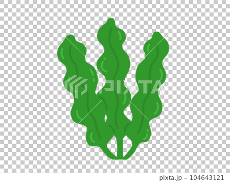 海藻のワカメのイラスト 104643121