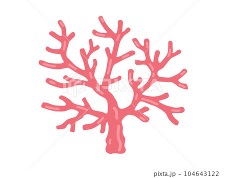 ピンク色のサンゴのイラスト ピンク色のサンゴのイラスト 104643122