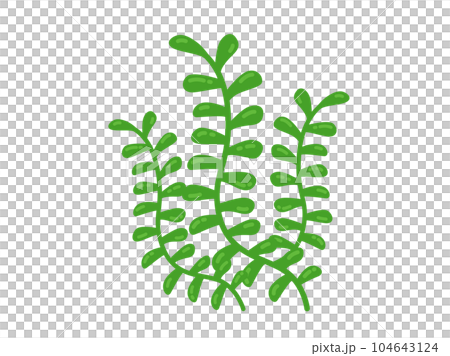 海藻的插圖 104643124