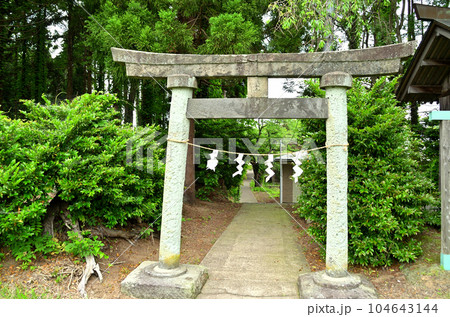 新潟県上越市五智に鎮座する越後国一宮の居多神社 新潟県上越市五智に鎮座する越後国一宮の居多神社 104643144