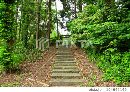 新潟県上越市五智に鎮座する越後国一宮の居多神社 104643146