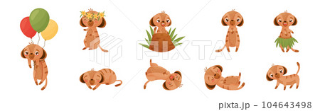Cute Meerkat or Suricate with Brindled Coat Vector Set Cute Meerkat or Suricate with Brindled Coat Vector Set 104643498