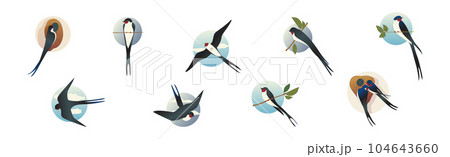 Swallow or Martin as Passerine Bird with Long Pointed Wings Vector Set 104643660