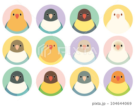 ボタンインコ　アイコン　セット 104644069