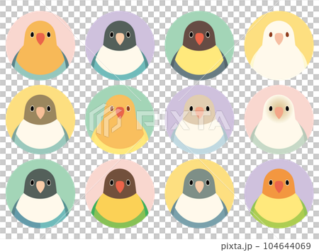 ボタンインコ　アイコン　セット 104644069