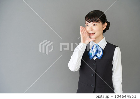 呼びかけるベストにリボンタイの制服を着た受付業務、事務業務の女性 呼びかけるベストにリボンタイの制服を着た受付業務、事務業務の女性 104644853