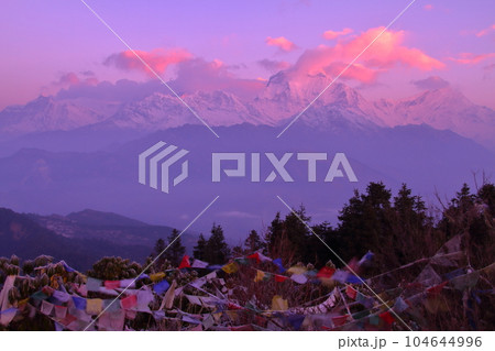 南アジアのネパール ヒマラヤ山脈眺望の名所プーンヒルから夜明けのダウラギリ山群とタルチョーの景色 南アジアのネパール ヒマラヤ山脈眺望の名所プーンヒルから夜明けのダウラギリ山群とタルチョーの景色 104644996