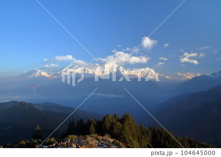 南アジアのネパール ヒマラヤ山脈眺望の名所プーンヒルから夜明けのダウラギリ山群とタルチョーの景色 南アジアのネパール ヒマラヤ山脈眺望の名所プーンヒルから夜明けのダウラギリ山群とタルチョーの景色 104645000