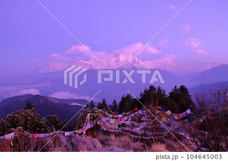 南アジアのネパール　ヒマラヤ山脈眺望の名所プーンヒルから夜明けのダウラギリ山群とタルチョーの景色 104645003