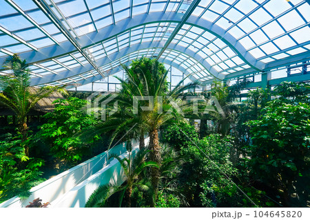 板橋区立熱帯環境植物館（グリーンドームねったいかん） 104645820