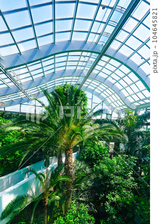 板橋区立熱帯環境植物館(グリーンドームねったいかん) 板橋区立熱帯環境植物館(グリーンドームねったいかん) 104645821