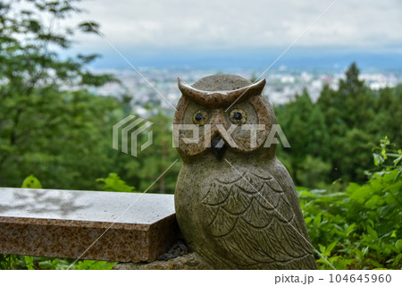 春日山城跡 上越市を見下ろすフクロウ 春日山城跡 上越市を見下ろすフクロウ 104645960