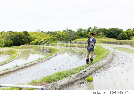 田植えをする若い男性 104645975
