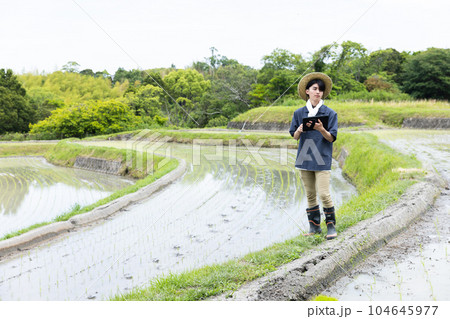 田植えをする若い男性 104645977
